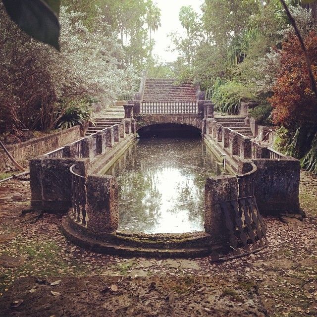 30. A mossy reflecting pool on an abandoned estate in Florida