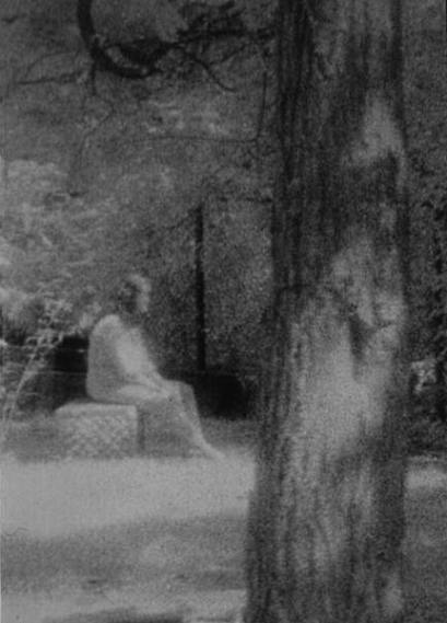 16. bachelors_grove_ghost_picture_012011a