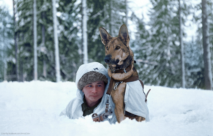 4. A Finnish soldier and his dog, Hämeenlinna, Finland. February 1941.