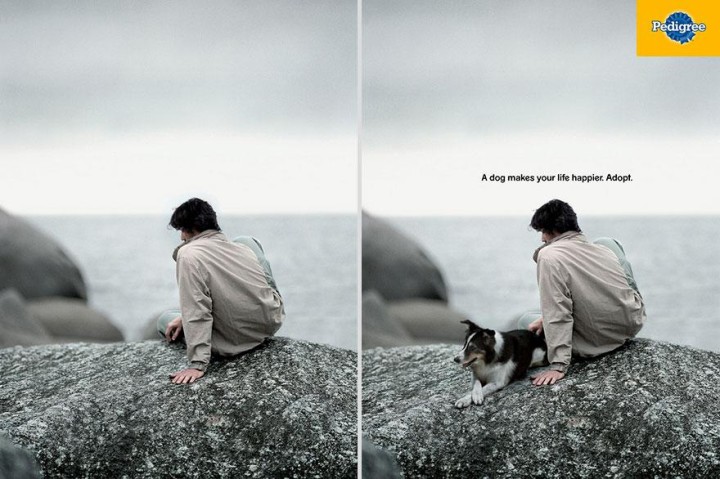 1c. ' A Dog Makes Your Life Happier. Adopt' - Pedigree3