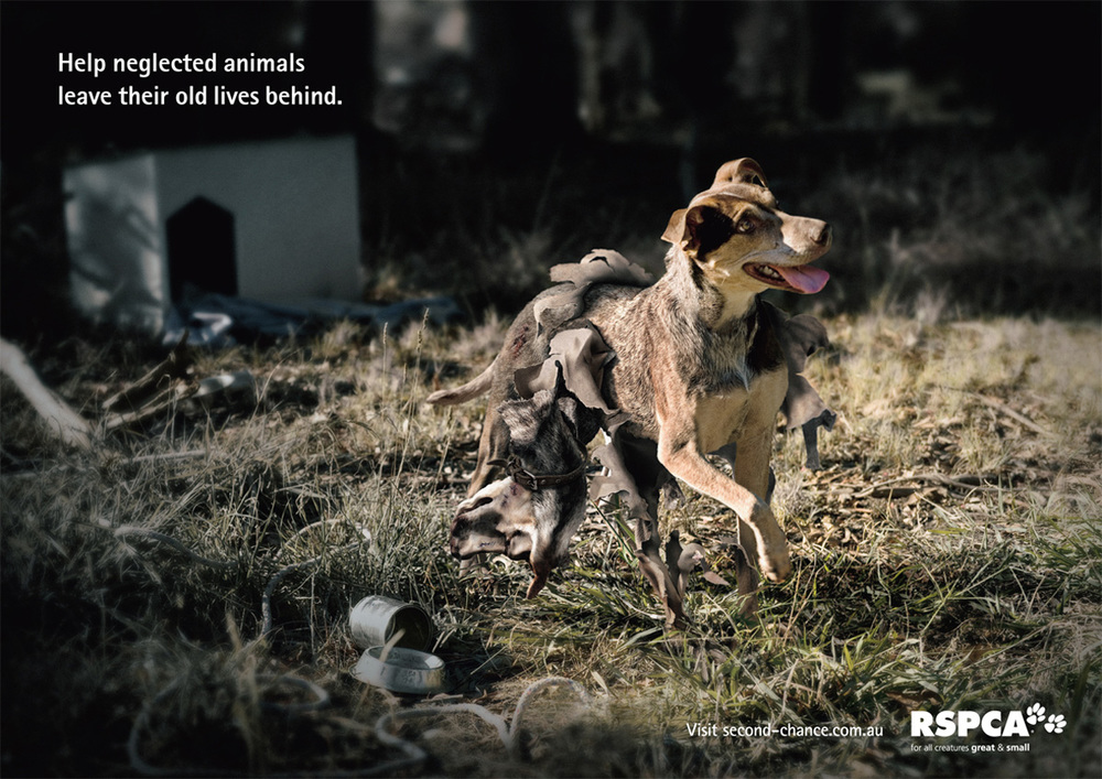 34 Of The Most Influential Animal Ads Of All Time InyMiny