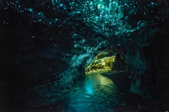 4. glowworm caves neew zealand