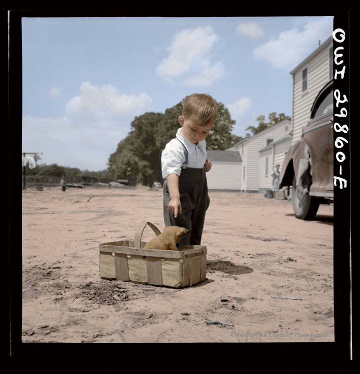 22. Point Pleasant, West Virginia. A small child with a puppy. May 1943