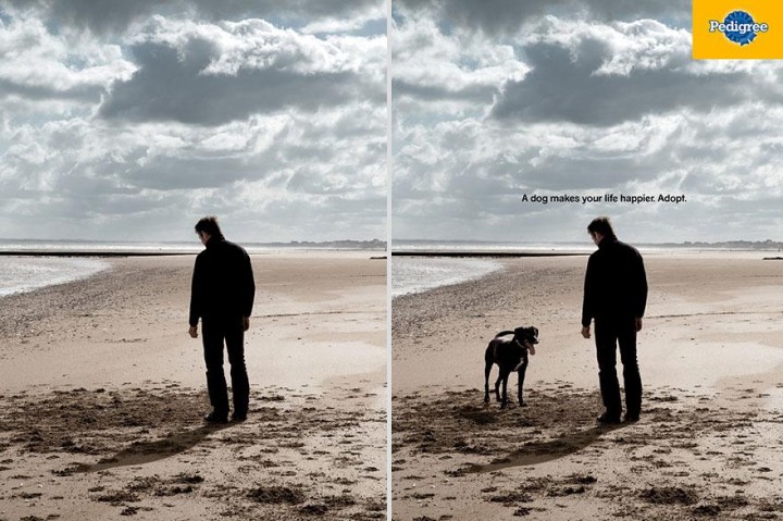 1. ' A Dog Makes Your Life Happier. Adopt' - Pedigree1