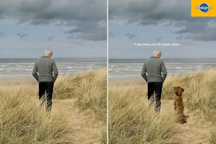 1b ' A Dog Makes Your Life Happier. Adopt' - Pedigree2