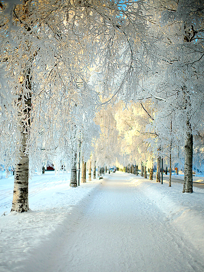 13. Snow Lane, Kiruna, Sweden1
