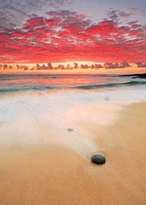 4. The Sunshine Coast, Queensland, Australia
