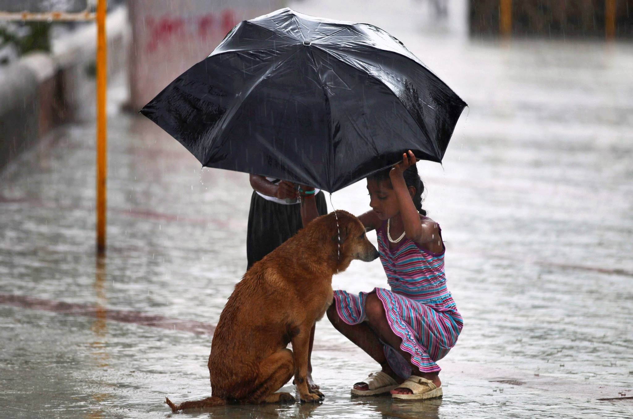 25. A girl uses her umbrella to protect a stray dog during monsoon rains in Mumbai