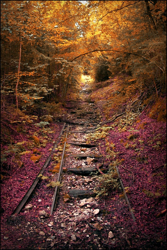 5. Railroad In The Fall, Lebanon, Missouri