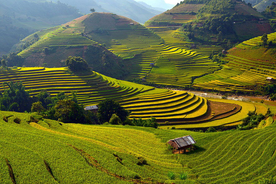 6-rice-terrace-fields-in-mu-cang-chai-vietnam2